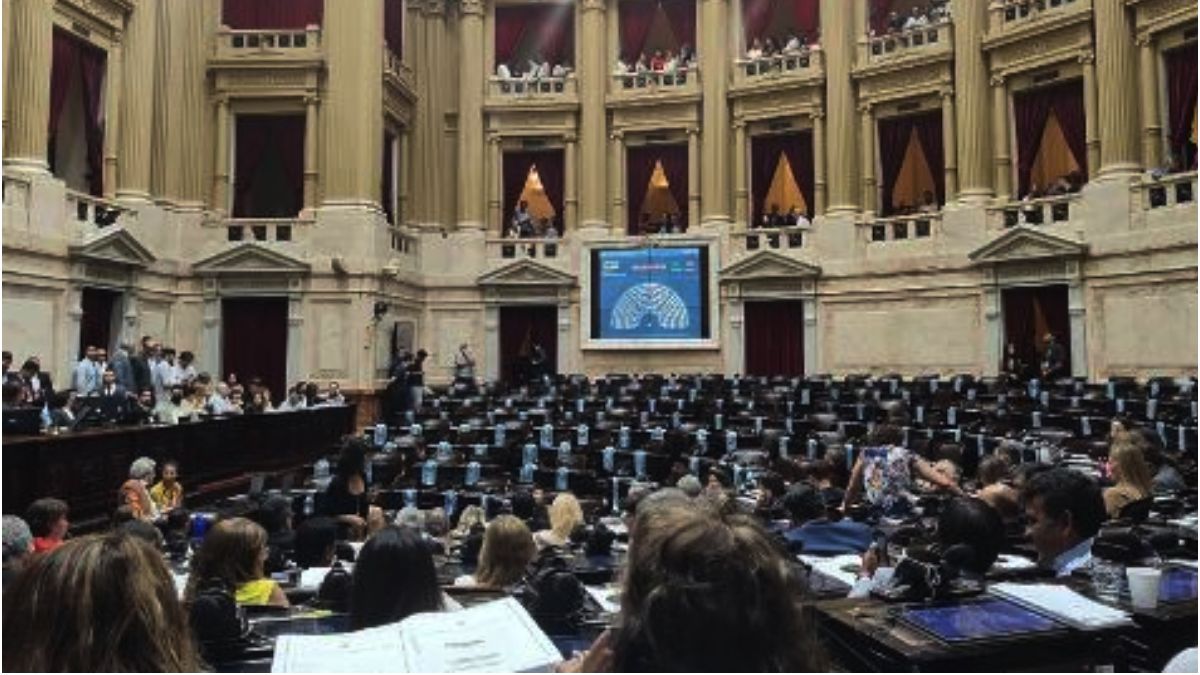 Jujuy Elige Diputados Y Senadores Cuántas Bancas Y Quiénes Son Los