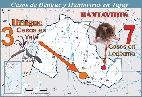 Bellone se refirió a los casos confirmados de dengue y hantavirus