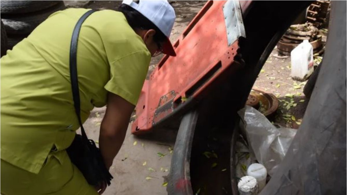 Brote de dengue en Jujuy: infecciones, casos asintomáticos y prevenciones