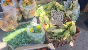 Palpalá: frutas y verduras mantienen sus precios pero las ventas no repuntan