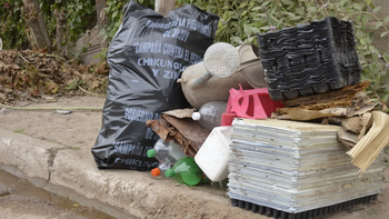 Crecen los contagios: ya son 63 casos de Chikungunya en Jujuy