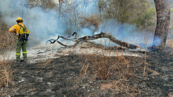 Alertas por viento y preocupación por incendios: Bomberos piden extremar cuidados