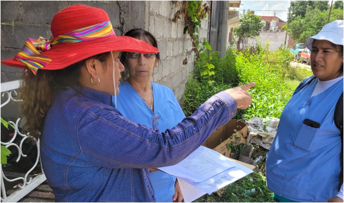 Informaron 49 casos de dengue en Jujuy: el foco sigue en San Pedro