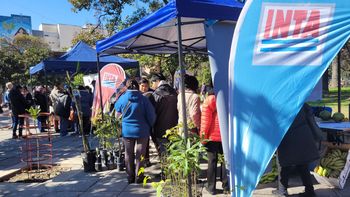 INTA Jujuy en alerta por posibles cierres y despidos