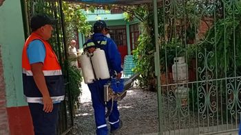 Perico refuerza la prevención: es la única localidad con casos de Dengue