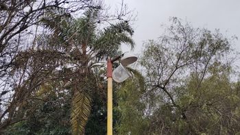 Vandalismo en Palpalá: robaron más de 10 focos en la Plaza Altos Hornos Zapla