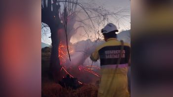 Negligencia ambiental en Maimará: una quema de basura destruyó árboles añejos