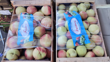 Precios y productos en la Feria Mayorista de Palpalá