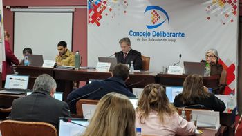 Concejo Deliberante: aprobaron la continuidad de la concesión de Vía Parking